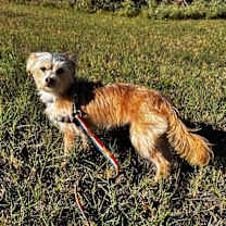 Thumbnail photo of Maverick #4