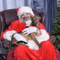 Thumbnail photo of Leo #2