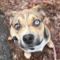 Thumbnail photo of Gravy #1