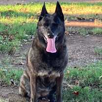 Thumbnail photo of Kai #3