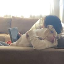 Thumbnail photo of Stella #4