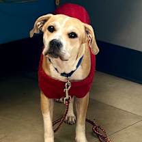 Thumbnail photo of Smithers #4