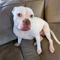 Thumbnail photo of Darla #1