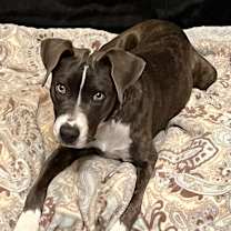 Thumbnail photo of Abbey #2