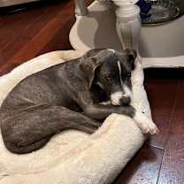 Thumbnail photo of Abbey #4