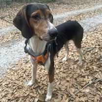 Thumbnail photo of Gerald #4