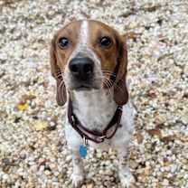 Thumbnail photo of Craig #3