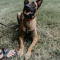 Thumbnail photo of Big Tina #4