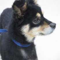 Thumbnail photo of Luna(Jinxy) DD #3