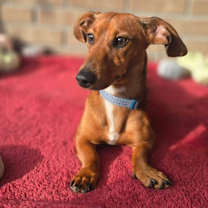 Thumbnail photo of Max #1