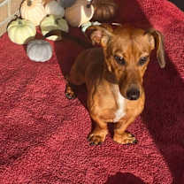 Thumbnail photo of Max #2