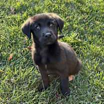 Thumbnail photo of John McClane #1