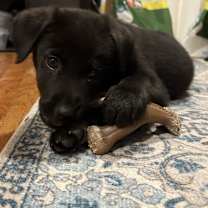 Thumbnail photo of John McClane #2