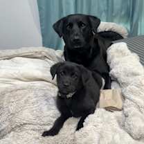 Thumbnail photo of John McClane #3