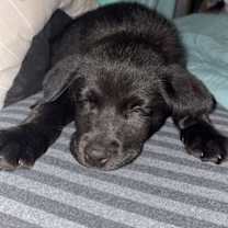 Thumbnail photo of John McClane #4