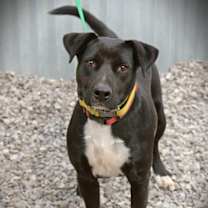 Thumbnail photo of Darla #3