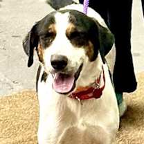 Thumbnail photo of Mira #1