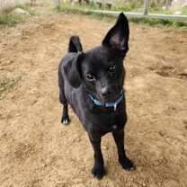 Thumbnail photo of Duncan #2