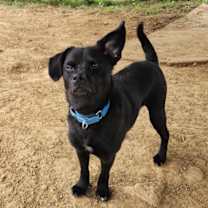 Thumbnail photo of Duncan #4