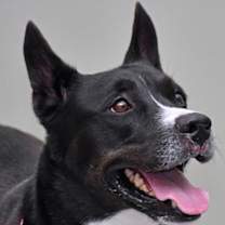 Thumbnail photo of Jean #1