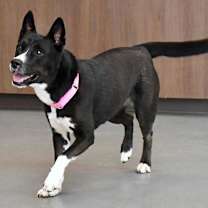 Thumbnail photo of Jean #2