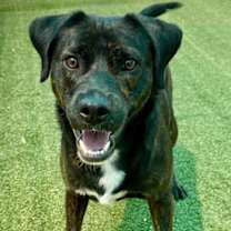 Thumbnail photo of Greenley #2