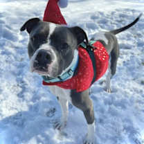 Thumbnail photo of Freddy #1