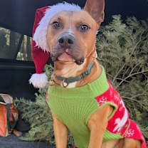 Thumbnail photo of Bingo #1