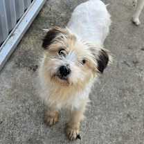 Thumbnail photo of Hari #1