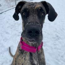 Thumbnail photo of Titus #3