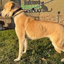 Thumbnail photo of Abigail #2