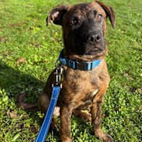 Thumbnail photo of Densmore (Ensmo) #1