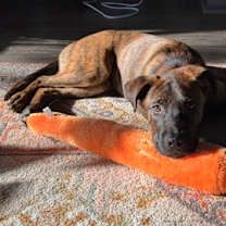 Thumbnail photo of Densmore (Ensmo) #2