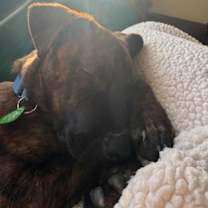 Thumbnail photo of Densmore (Ensmo) #3