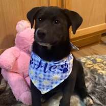 Thumbnail photo of Penelope #1