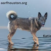 Thumbnail photo of Katie 3 #3