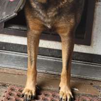 Thumbnail photo of Katie 3 #4