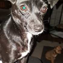 Thumbnail photo of Kia #1