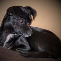 Thumbnail photo of Kia #2