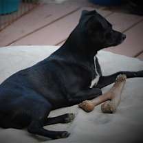 Thumbnail photo of Kia #4