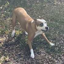 Thumbnail photo of Zeus #2