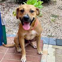 Thumbnail photo of Rudy #3