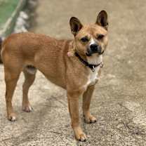 Thumbnail photo of Tom #4