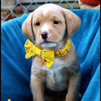 Thumbnail photo of Ash #1