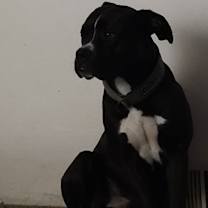 Thumbnail photo of Tydus #1