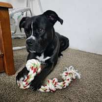 Thumbnail photo of Tydus #2