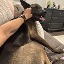 Thumbnail photo of Ari #3