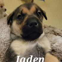 Thumbnail photo of Jaden #1