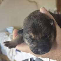 Thumbnail photo of Jaden #2