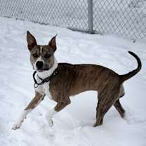 Thumbnail photo of Jolly #3